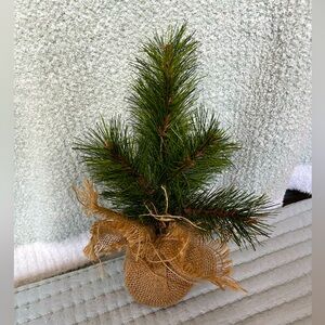 🧡 Tree Home Decor Farmhouse Plants Country BUNDLE DEALS